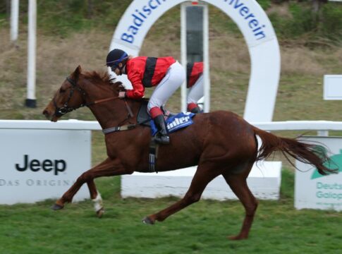 Brüggemann muss Plan ändern - Diamond Gold überrascht Diamond Gold siegt unter Silke Brüggemann