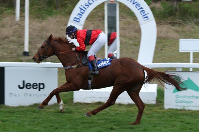 Diamond Gold siegt unter Silke Brüggemann Diamond Gold siegt unter Silke Brüggemann