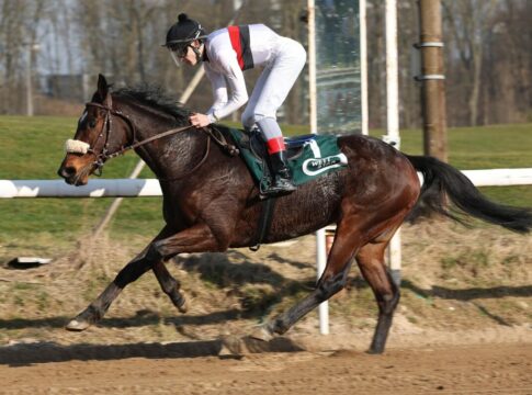 Dortmunder in Dortmund – MacRedmond verwandelt Kistenritt Dortmunder siegt unter Senan Macredmond