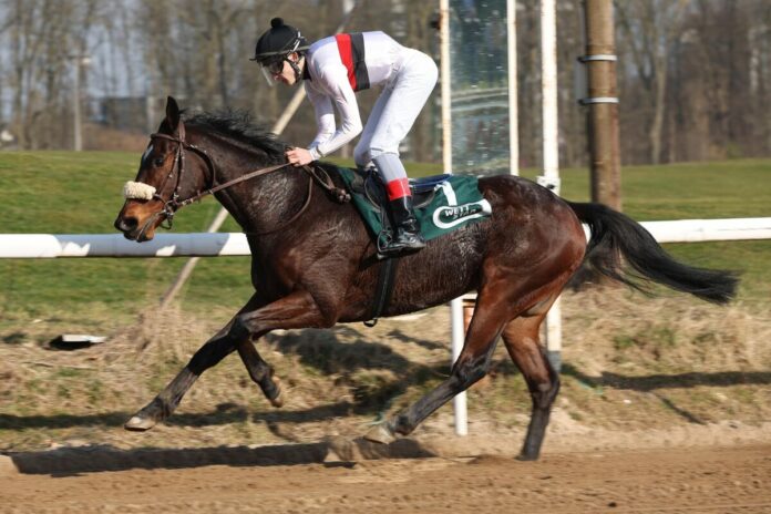 Dortmunder siegt unter Senan Macredmond