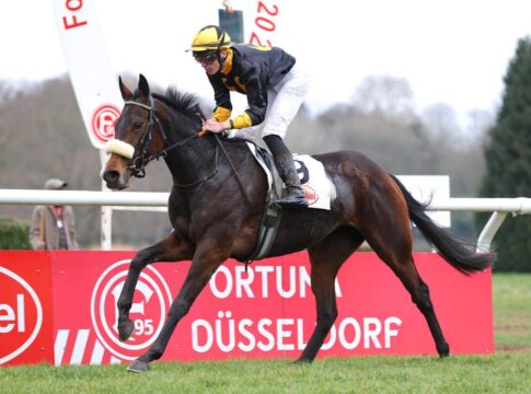 Vamos A Marte siegt unter Leon Wolff