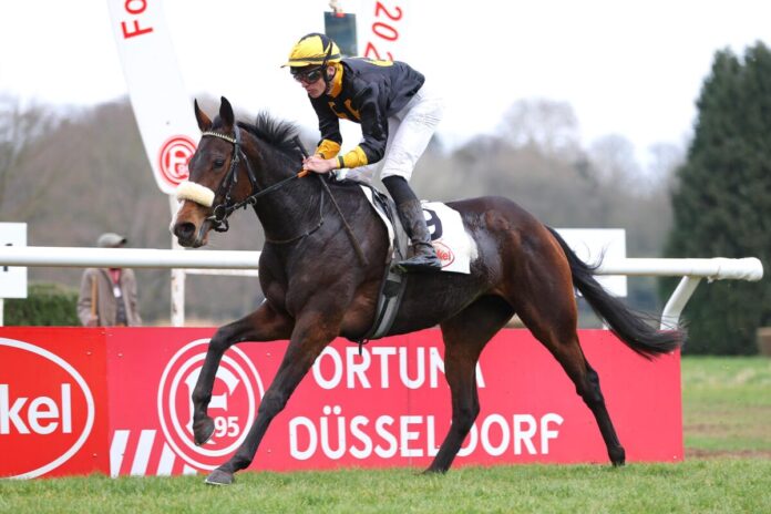 Vamos A Marte siegt unter Leon Wolff