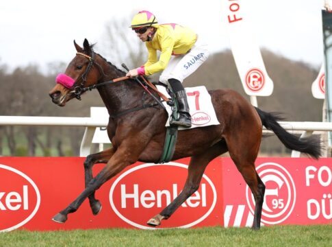 Alles wie erwartet bei den Dreijährigen – Grewe siegt auch mit Stugardia Stugardia siegt unter Thore Hammer-Hansen