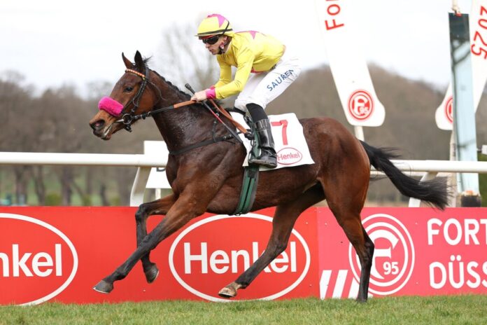 Stugardia siegt unter Thore Hammer-Hansen