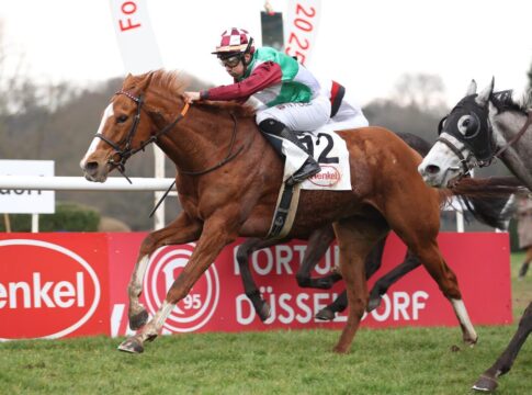 Strahlemann bringt Smrczek und Polli zum strahlen Strahlemann siegt unter Nicol Polli