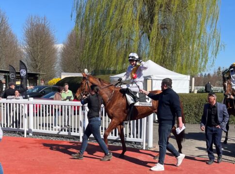 Straßburg: Deutsche Pferde eins bis sechs bei Ellerstina-Sieg Ellerstina