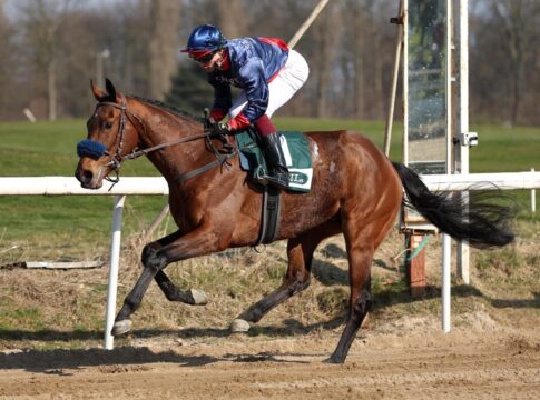 Glady Tiger distanziert Weltbeste deutlich - Bald in Diensten von Penalty Glady Tiger siegt unter Thore Hammer-Hansen