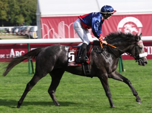 Grey Fighter Fünfter in Auteuil-Listenrennen Grey Fighter