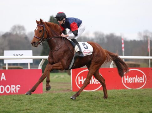 Hamiltons Spaziergang zum vierten Sieg in Folge - Wolff mit Dreierpack Hamilton