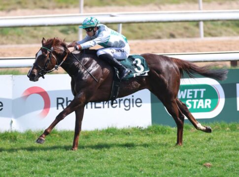 Nach Lips Vega Demonstration: Nicht alleine die Nr.1 im Stall! Lips Vega