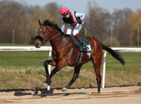 Maigret gibt sich keine Blöße - Jetzt geht es nach Düsseldorf Maigret siegt unter Thore Hammer-Hansen