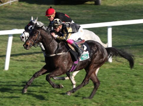 Flandrin am Anfang und am Ende - Nerian siegt zum Abschluss Nerian siegt unter Bertrand Flandrin