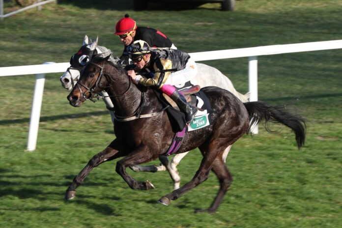 Nerian siegt unter Bertrand Flandrin Nerian siegt unter Bertrand Flandrin