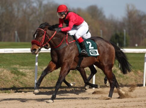 Nishiki Kamuro siegt unter Janina Boysen