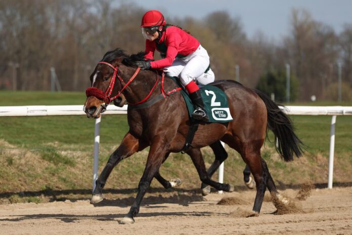 Nishiki Kamuro siegt unter Janina Boysen Nishiki Kamuro siegt unter Janina Boysen
