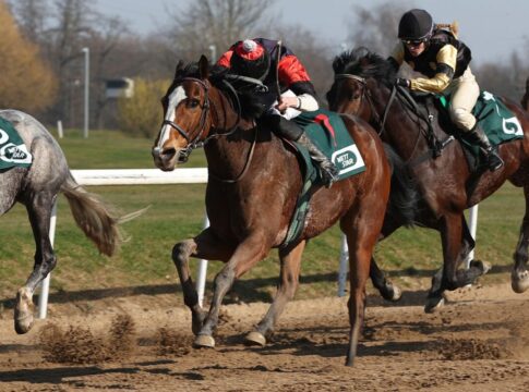 Jetzt ein Außenseiter-Schocker – Sacher ist die Kirsche auf der Torte Sacher siegt unter Leon Wolff