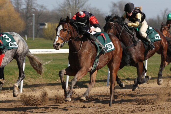 Sacher siegt unter Leon Wolff
