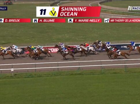 Blumes Quinte-Sensation: Shinning Ocean für 435:10 Shinning Ocean