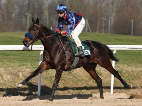 Grewe auf Weg zum Champion? Shootout holt fünften Sieg 2025 in Stall Shootout siegt unter Thore Hammer-Hansen