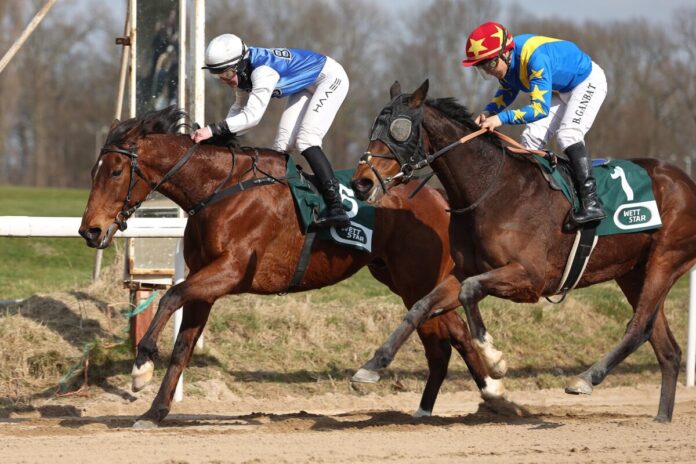 Slay The Dragon siegt unter Lilli-Marie Engels Slay The Dragon siegt unter Lilli-Marie Engels