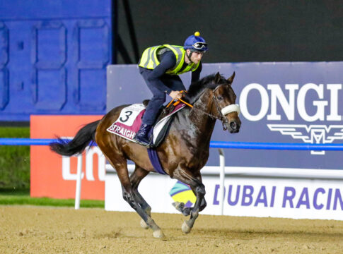 Straight bei der Morgenarbeit in Meydan Foto: DRC