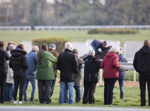 Ein Blick hinter die Kulissen des Rennsports – Tag der Rennställe 2025 Tag der Rennställe bei Peter Schiergen