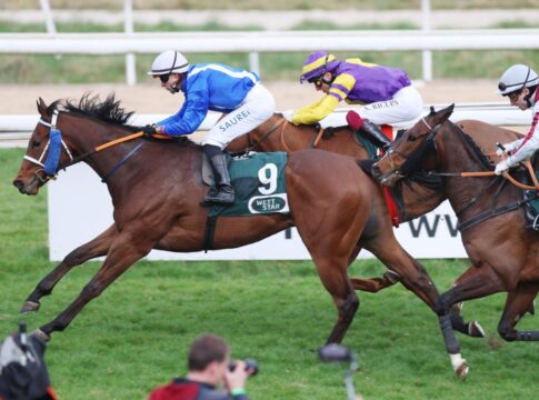 Terratino Fire siegt unter Thore Hammer-Hansen