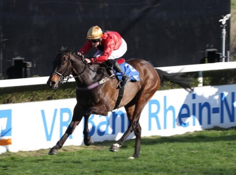 Vogt meldet sich in der Saison an - Wahrsager sorgt für dritten Recke-Sieg Wahrsager siegt unter Sibylle Vogt