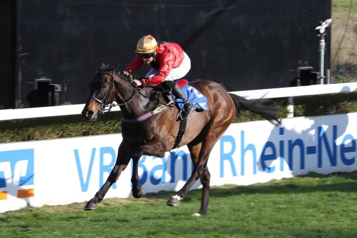 Wahrsager siegt unter Sibylle Vogt Wahrsager siegt unter Sibylle Vogt
