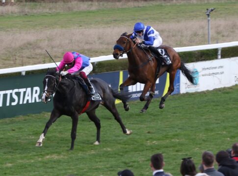 Wieder „Woody“ - Publikumsliebling siegt erneut im Badenia Rennen Woody Wood siegt unter Andrea Ricupa