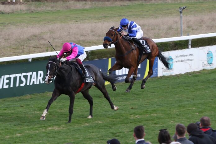 Woody Wood siegt unter Andrea Ricupa Woody Wood siegt unter Andrea Ricupa