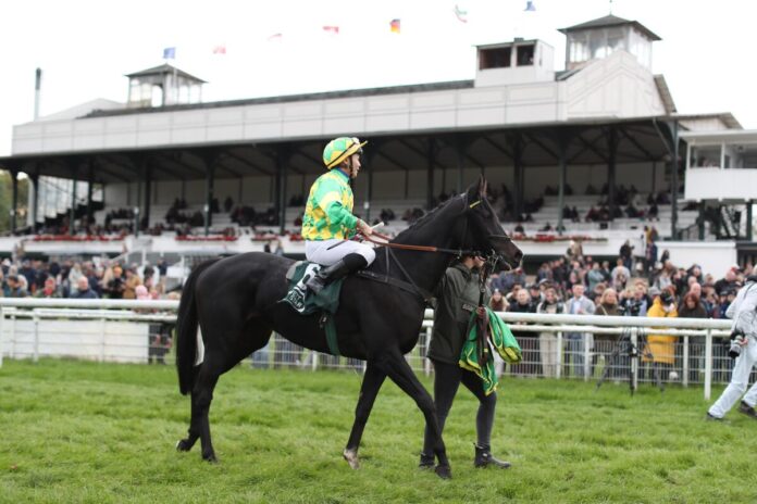 Words Of Peace Words Of Peace