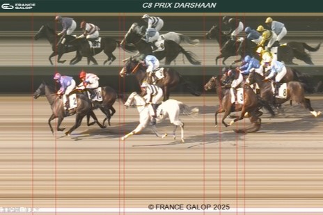 Merkur und Stern Markka bärenstark zwei-drei in Chantilly Zielfoto