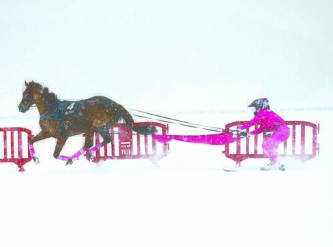 Elektrostatische Aufladung löste Skikjöring Sicherheitsgeschirre Schael in St Moritz (White Turf – A.Furger)