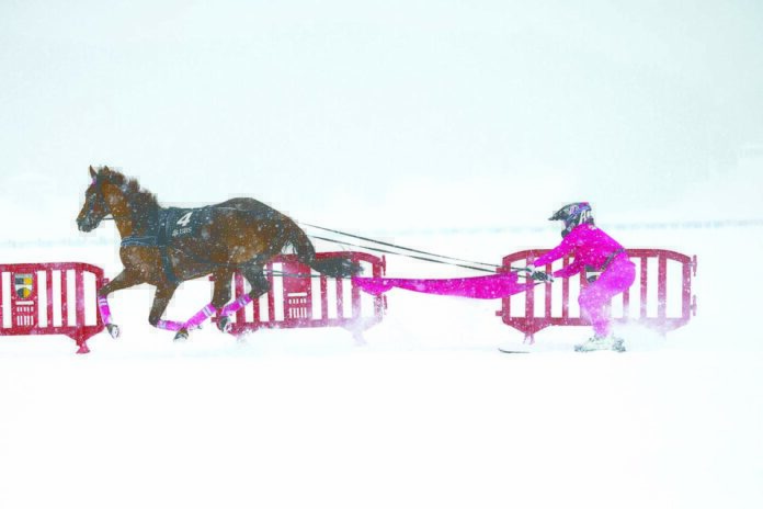 Schael in St Moritz (White Turf - A.Furger)