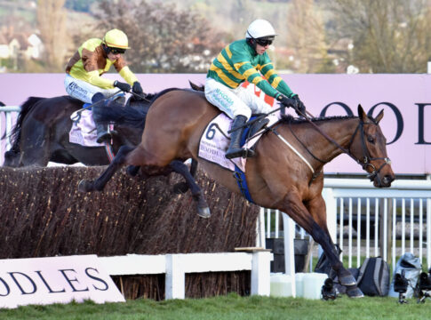 Inothewayurthinkin lässt die Grand National aus Inothewayurthinkin gewinnt den Cheltenham Gold Cup Foto: Sorge