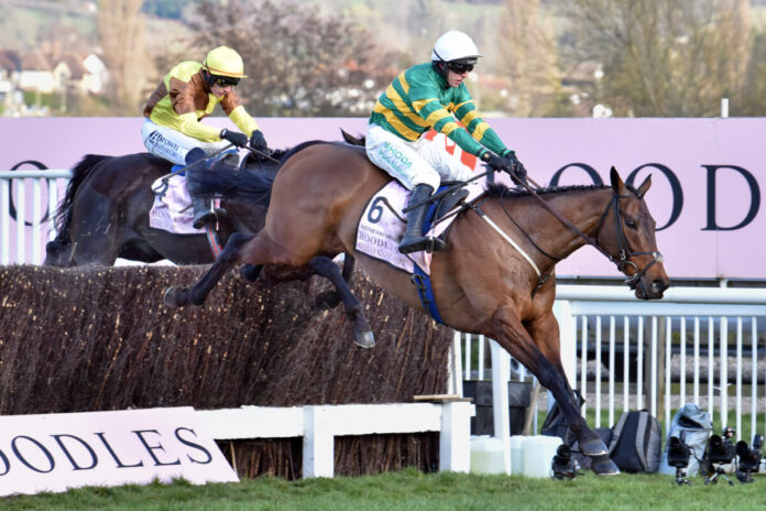 Inothewayurthinkin gewinnt den Cheltenham Gold Cup Foto: Sorge Inothewayurthinkin gewinnt den Cheltenham Gold Cup Foto: Sorge