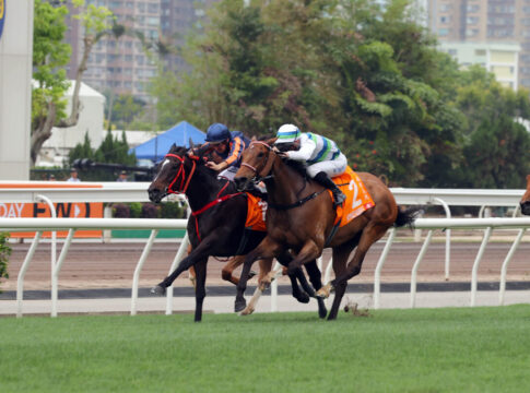 „Race of his life!“ – Red Lion setzt Sha Tin für 908:10 in kollektiven Schockzustand 20250427 ST R7 JCX_0261