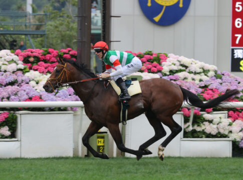 Calif sensationeller Dritter, Goliath ohne Chance – Tastiera gewinnt 20250427 ST R8 JCX_1575