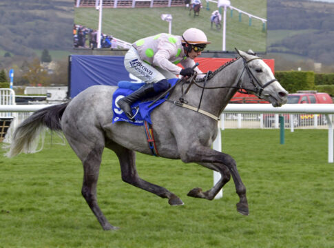 Constitution Hill fällt erneut – Lossiemouth perfektioniert Mullins-Tag Lossiemouth with Paul Townend up wins the David Nicholson Mares Hurdle