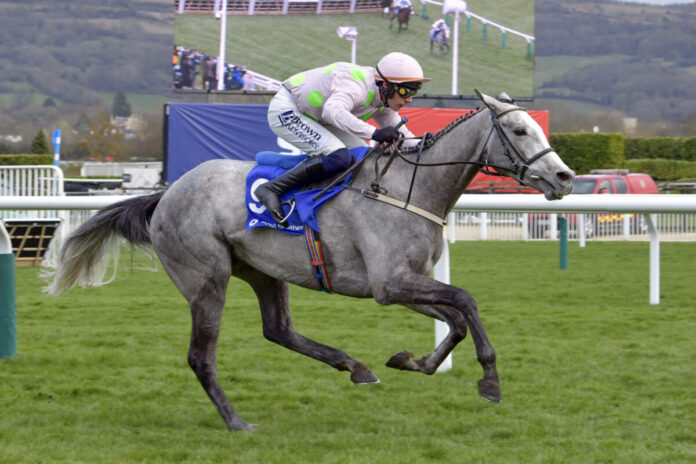 Lossiemouth with Paul Townend up wins the David Nicholson Mares Hurdle