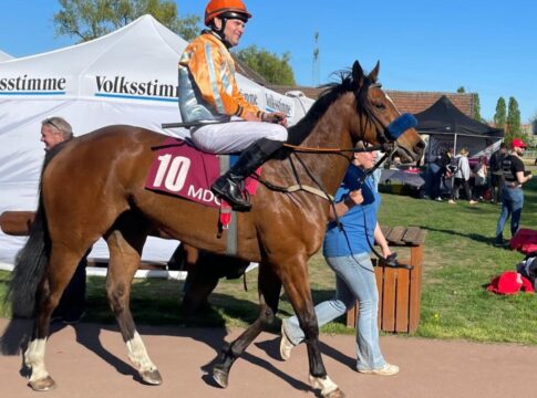 Fuhrmanns Malhumorada beschließt die Karte in Magdeburg Malhumorada