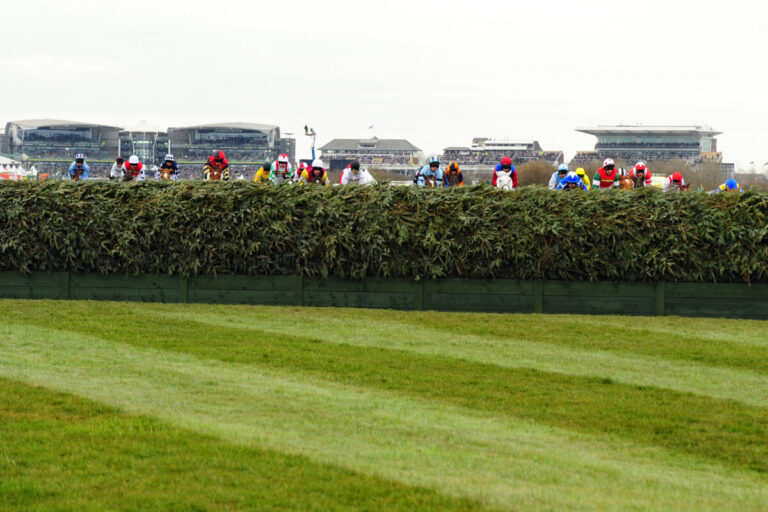 Pferd Mr Incredible vom Grand National am Samstag ausgeschlossen