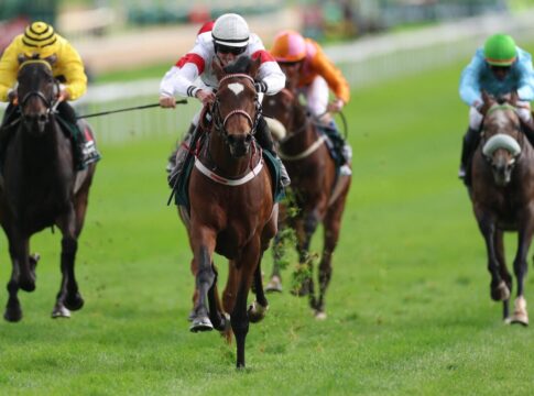 Nach Gruppe II-Sieg in Köln - Allenos neue Marke ist da Alleno siegt unter Sibylle Vogt im Sauren Dachfonds Preis (ex Gerling-Preis)