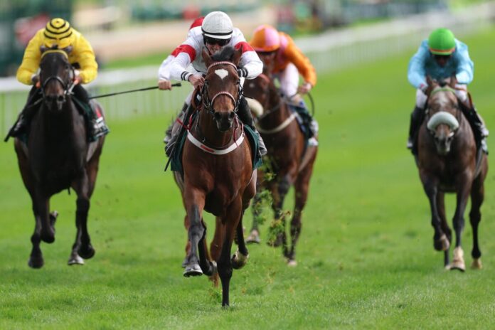 Alleno siegt unter Sibylle Vogt im Sauren Dachfonds Preis (ex Gerling-Preis) Alleno siegt unter Sibylle Vogt im Sauren Dachfonds Preis (ex Gerling-Preis)