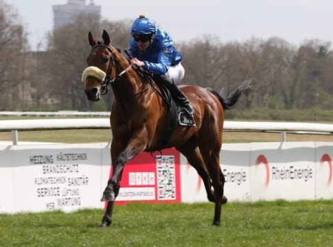 Aquaman siegt unter Leon Wolff