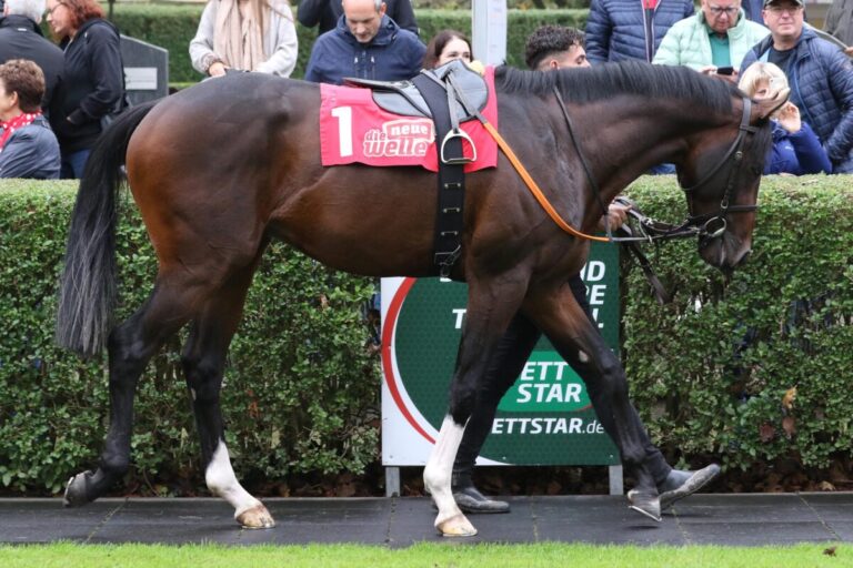 Favorit Arabico eröffnet für Bohumil Nedorostek Magdeburger Saison