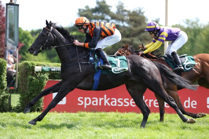 Black Phantom siegt unter Michael Cadeddu