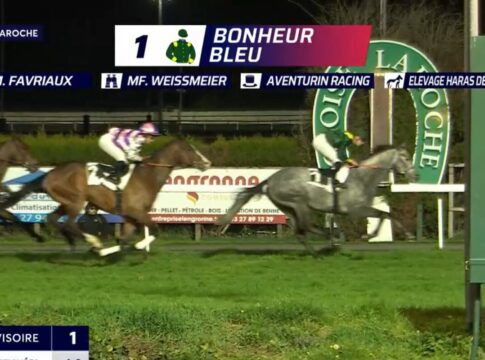 Bonheur Bleu siegt beim ersten Start für Marian F. Weißmeier Bonheur Bleu