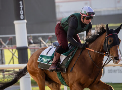 Zehn Jahre nach Dolniya - Geht die Aga Khan-Serie in Dubai weiter? Calandagan (Archiv) Foto: DRC